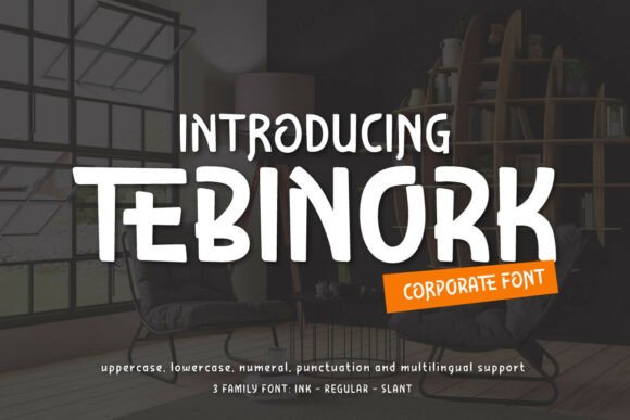 Tebinork: A Bold and Playful Display Font